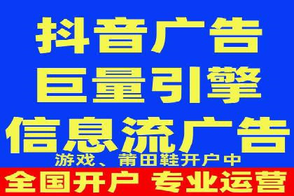 竞价广告策略案例分析
